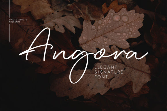 Angora: A Signature Font for Modern Web Design