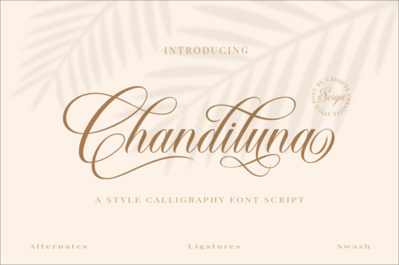 Chandiluna: A Handwritten Font for Editorial Elegance