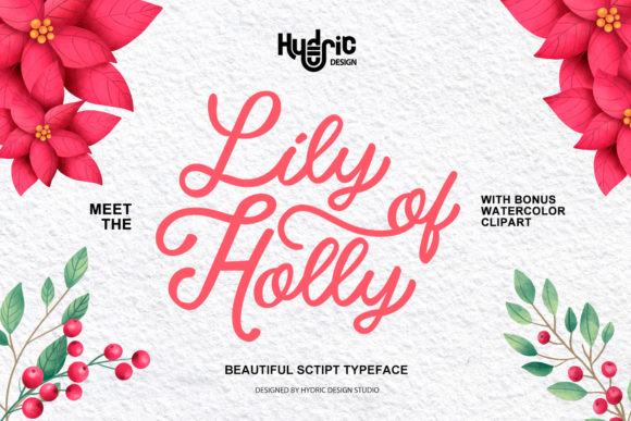 Discovering Lily of Holy: A Perfect Font for Elegant Branding