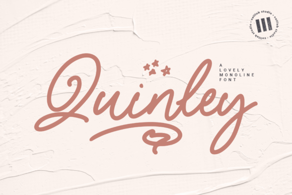 Quinley: A Versatile Script for Creative Projects