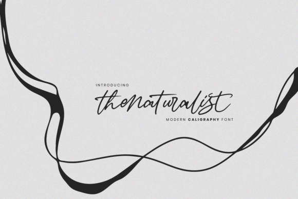 The Naturalist: A Handwritten Font for Engaging Brand Content