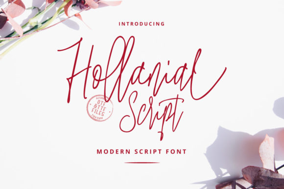 Transform Your Campaigns with Hollanial Font